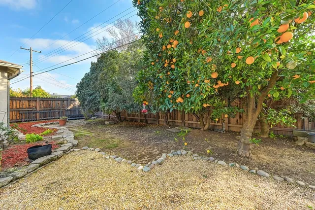 a view of a yard with a tree