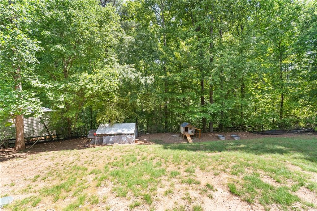1061 Carlisle Road Dawsonville, GA 30534 - Photo 37 of 48