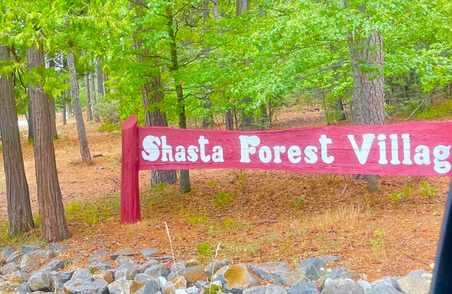 $375,000 | 7354 Shasta Forest Drive, Shingletown, CA 96088