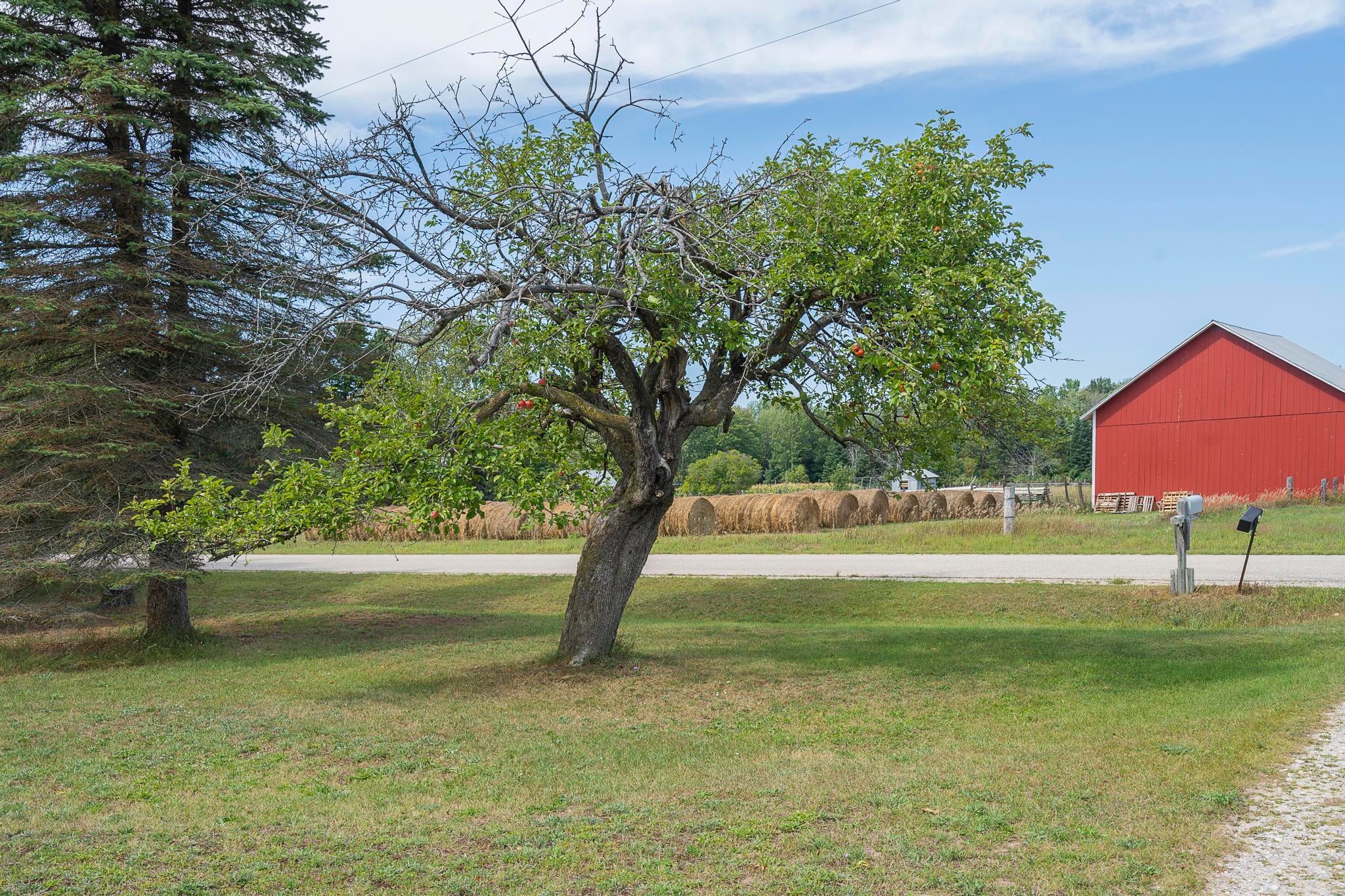 1632 Mann Road Cheboygan, MI 49721 - Photo 34 of 37 Gallery Image 34