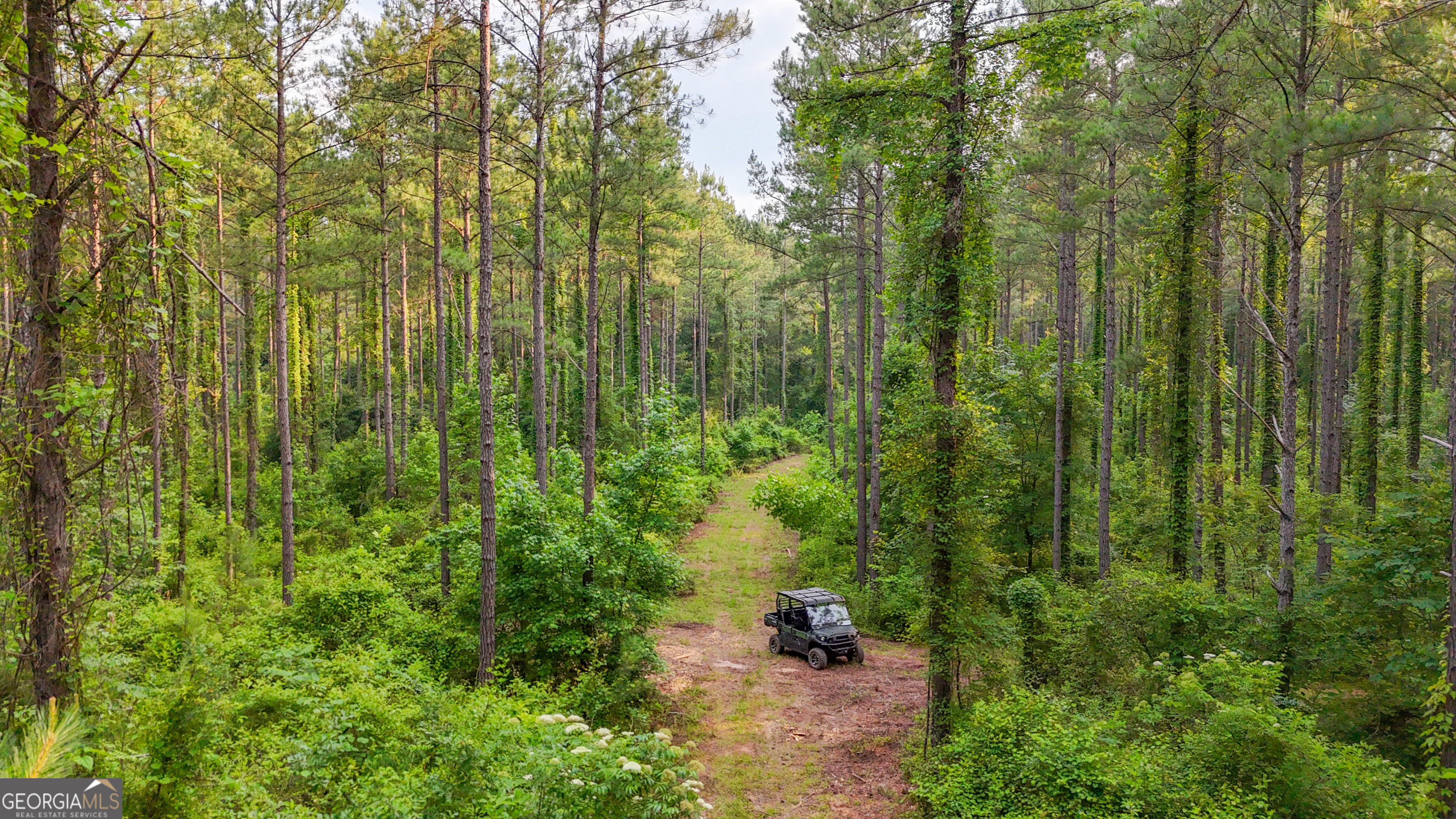3644-3792 Fortune Hole Road Hamilton, GA 31811 - Photo 1 of 41 a view of yard with green space
