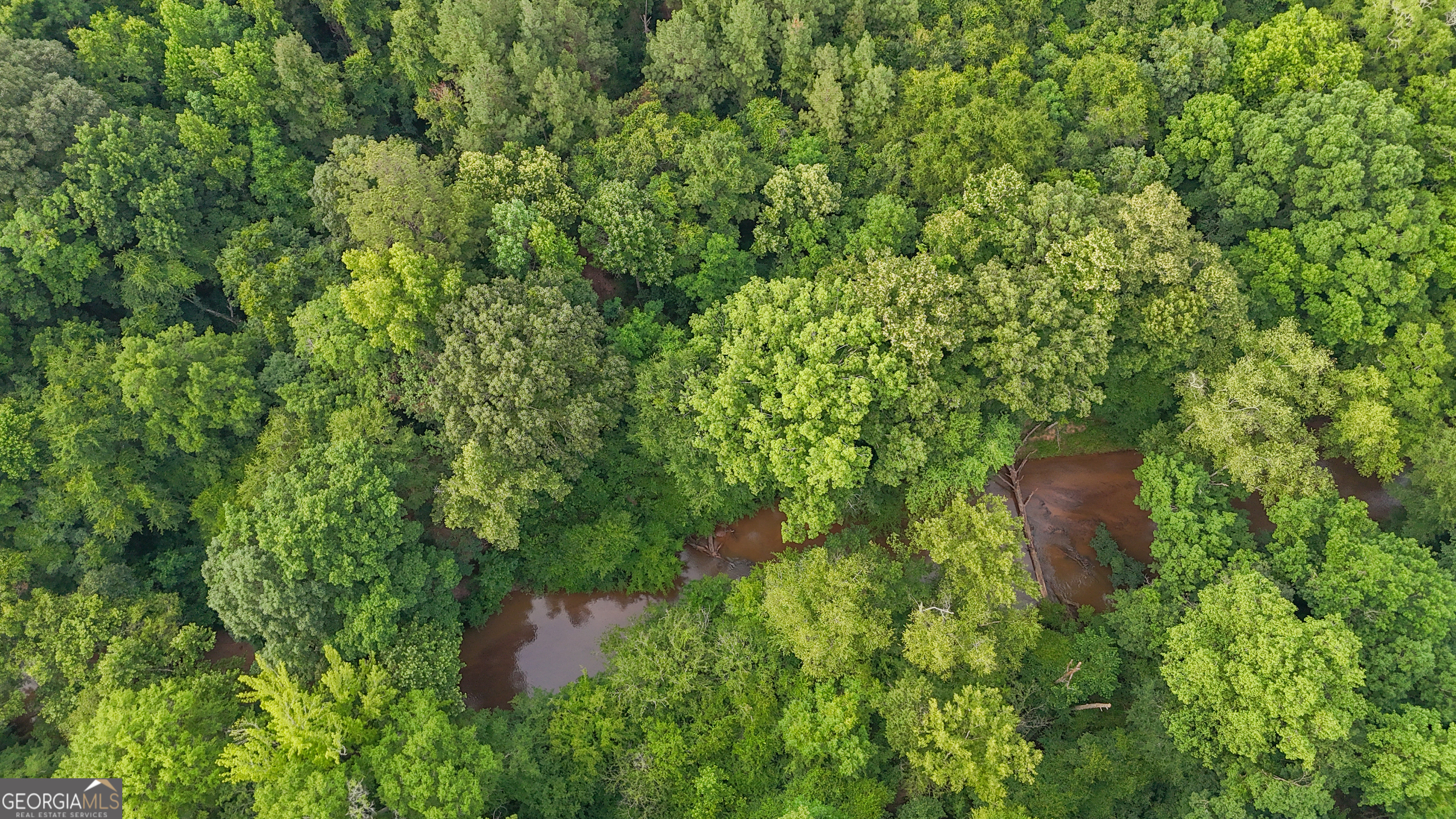 3644-3792 Fortune Hole Road Hamilton, GA 31811 - Photo 11 of 41