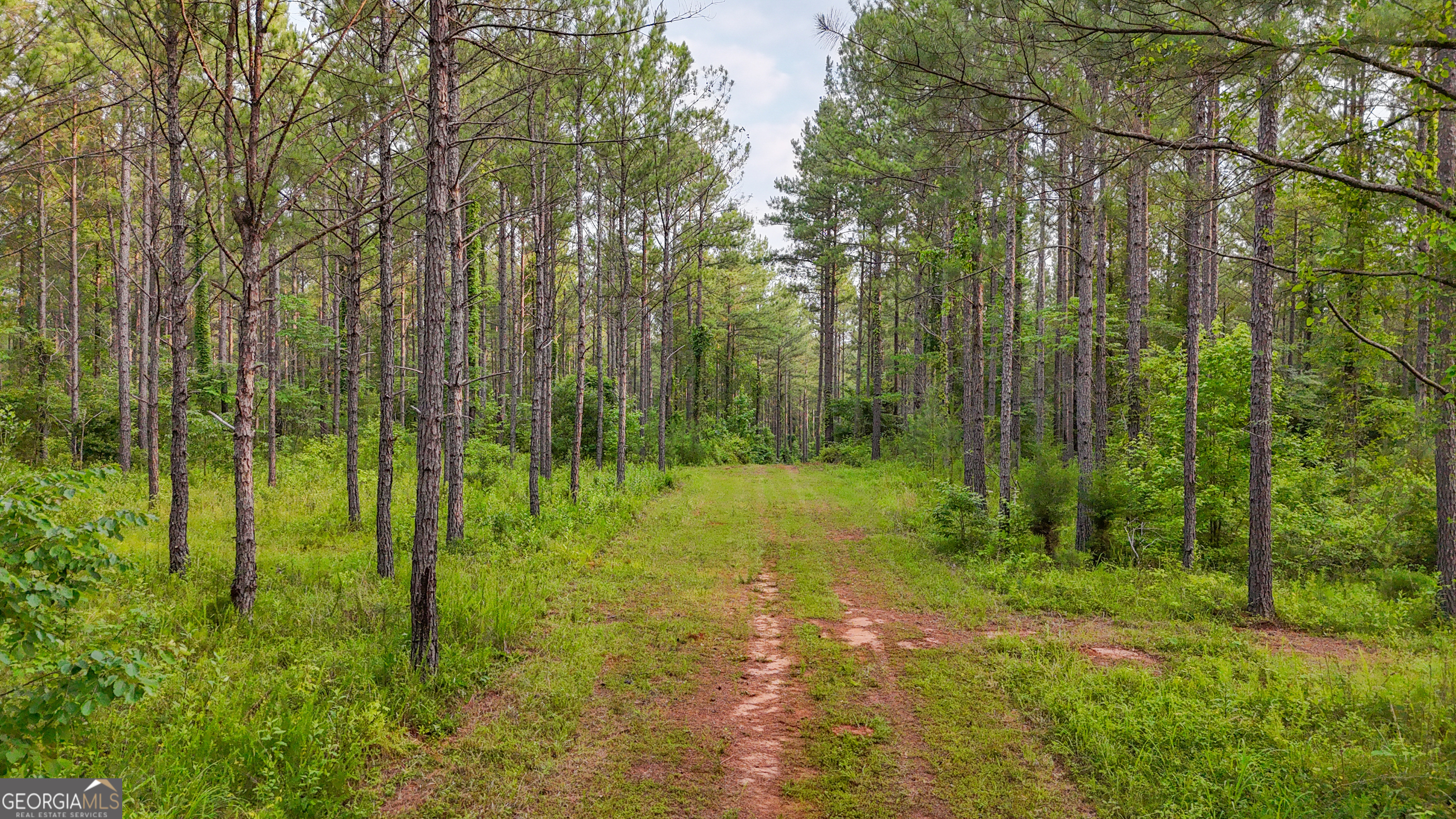 3644-3792 Fortune Hole Road Hamilton, GA 31811 - Photo 14 of 41 a view of outdoor space and yard