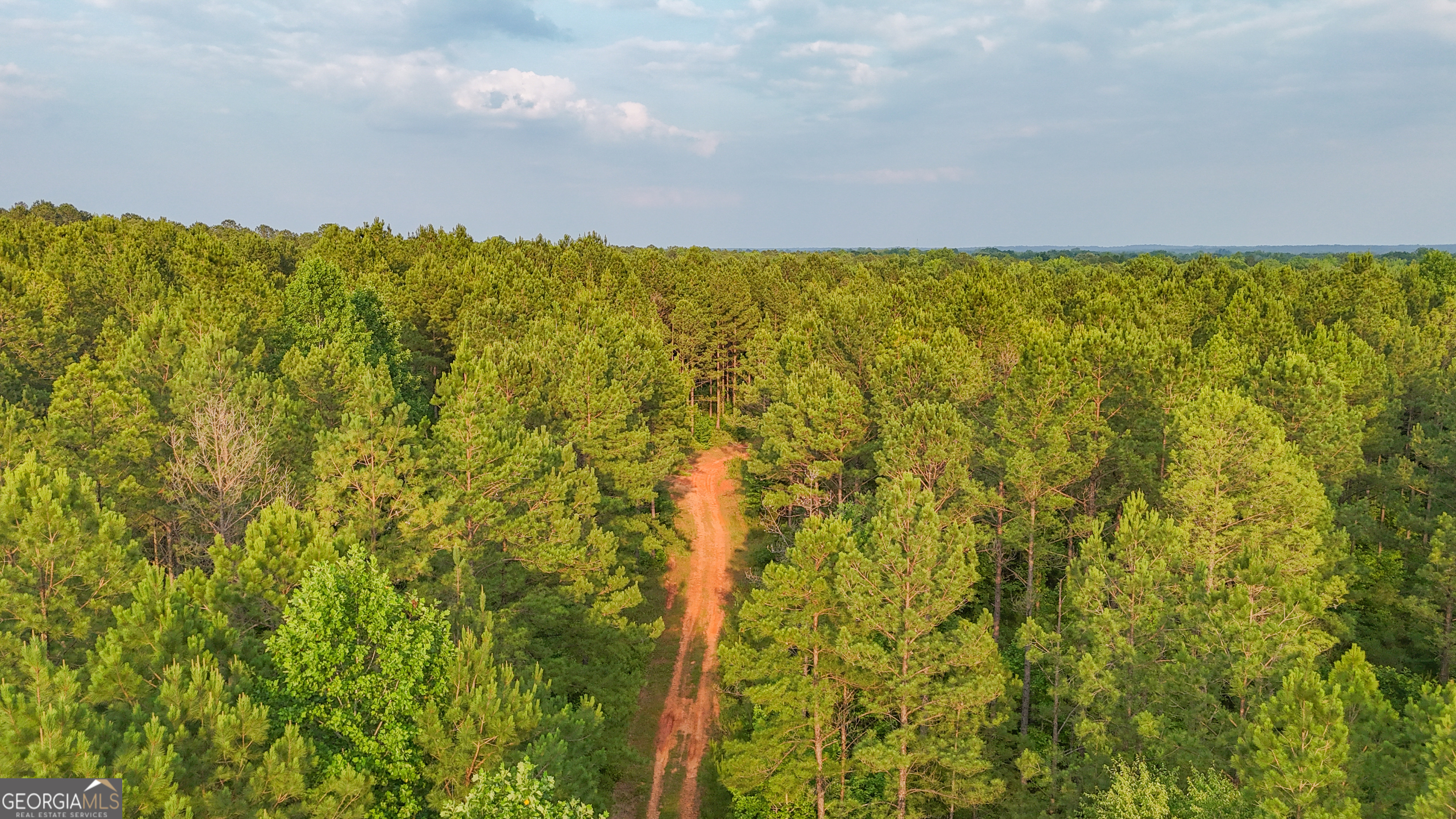 3644-3792 Fortune Hole Road Hamilton, GA 31811 - Photo 15 of 41 a view of under an umbrella