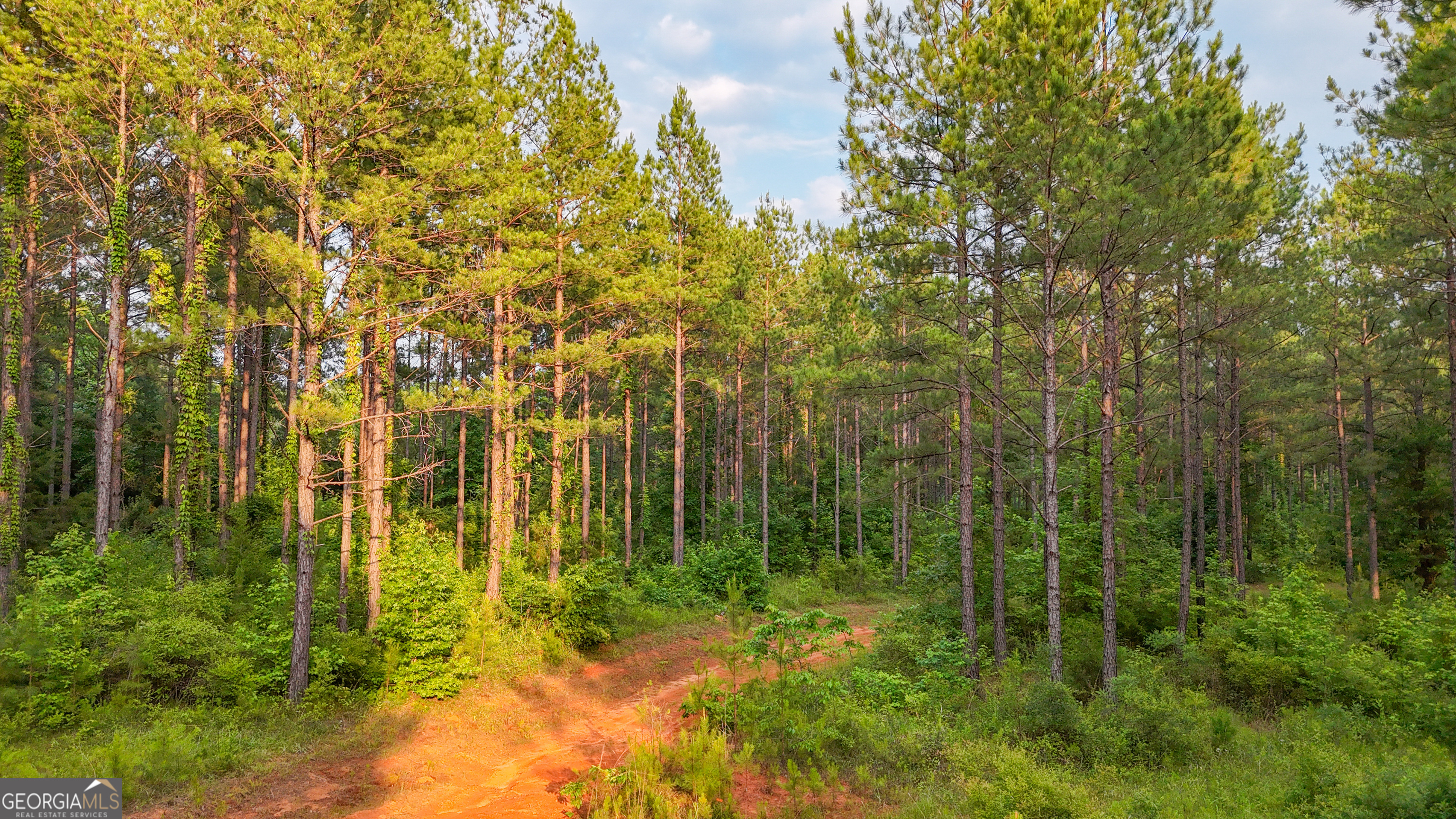 3644-3792 Fortune Hole Road Hamilton, GA 31811 - Photo 16 of 41 a view of a garden