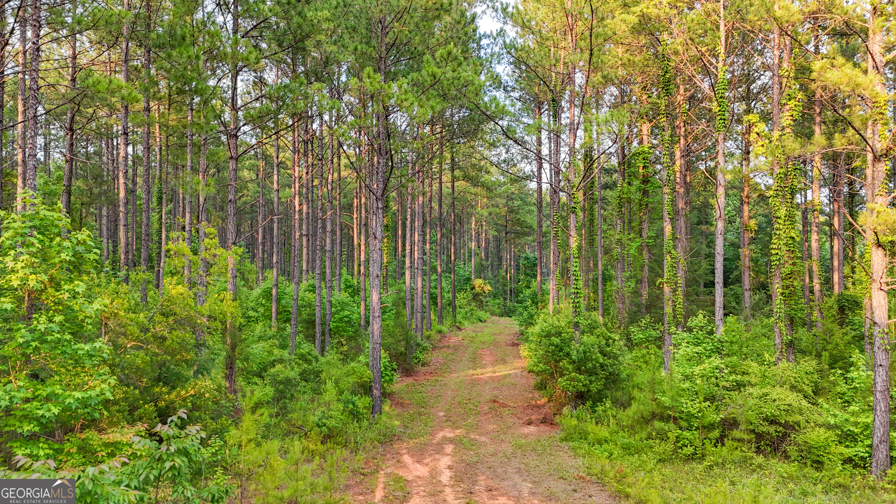 3644-3792 Fortune Hole Road Hamilton, GA 31811 - Photo 17 of 41 a view of a garden