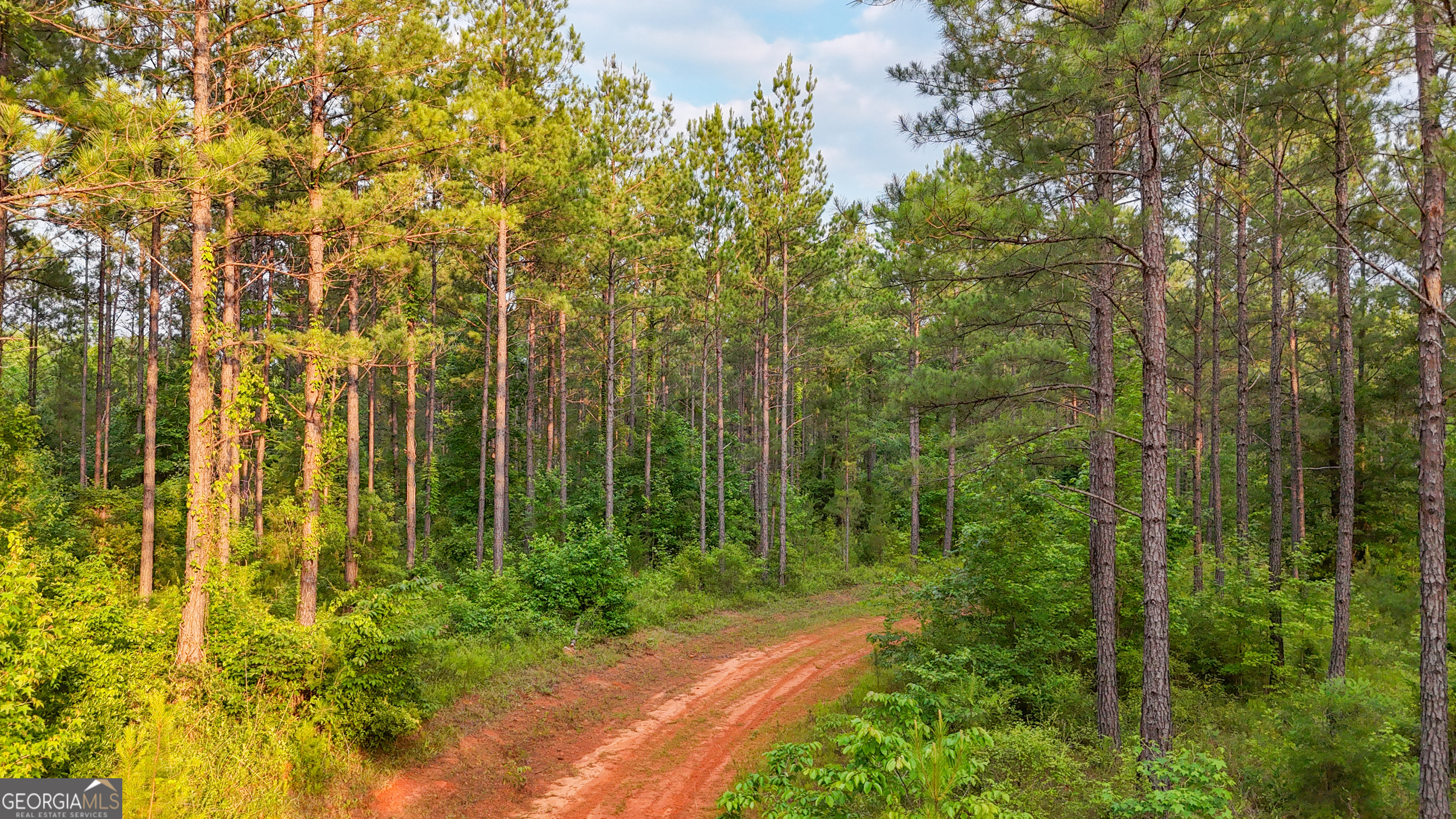 3644-3792 Fortune Hole Road Hamilton, GA 31811 - Photo 18 of 41 a view of a garden