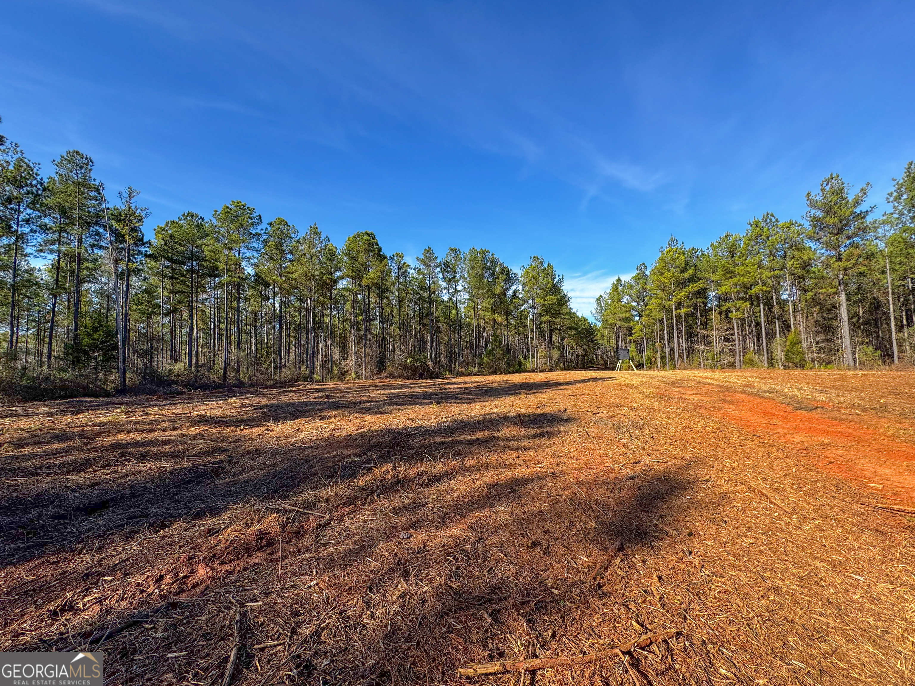 3644-3792 Fortune Hole Road Hamilton, GA 31811 - Photo 2 of 41 a view of an outdoor space and yard