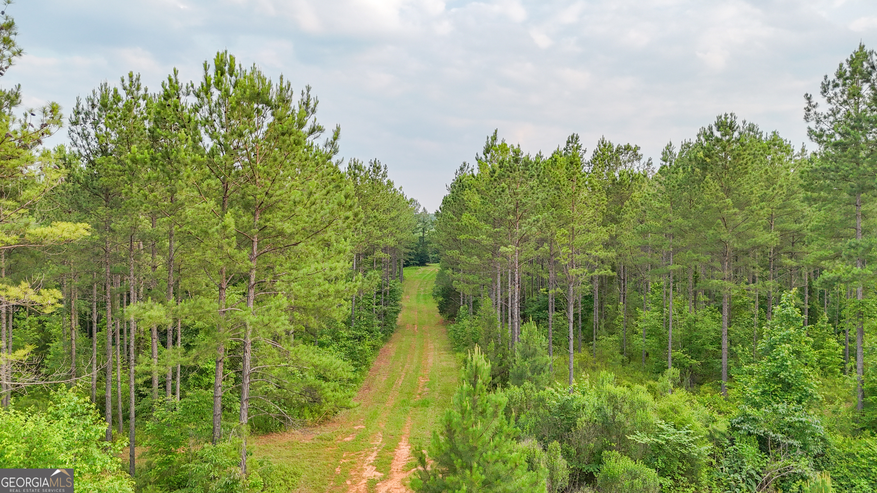 3644-3792 Fortune Hole Road Hamilton, GA 31811 - Photo 22 of 41 a map view of a lake view