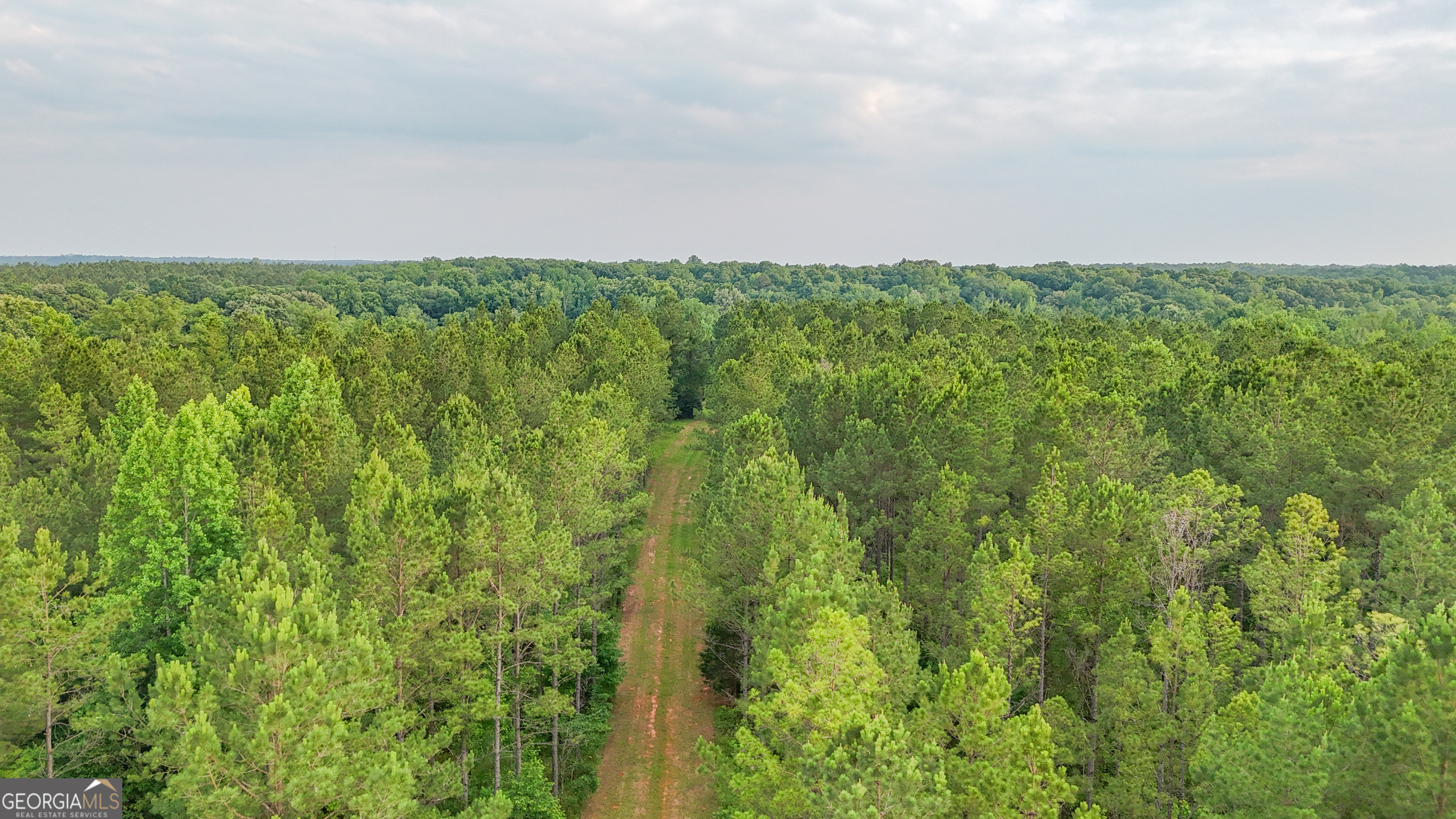 3644-3792 Fortune Hole Road Hamilton, GA 31811 - Photo 23 of 41 a backyard of a house with lots of green space