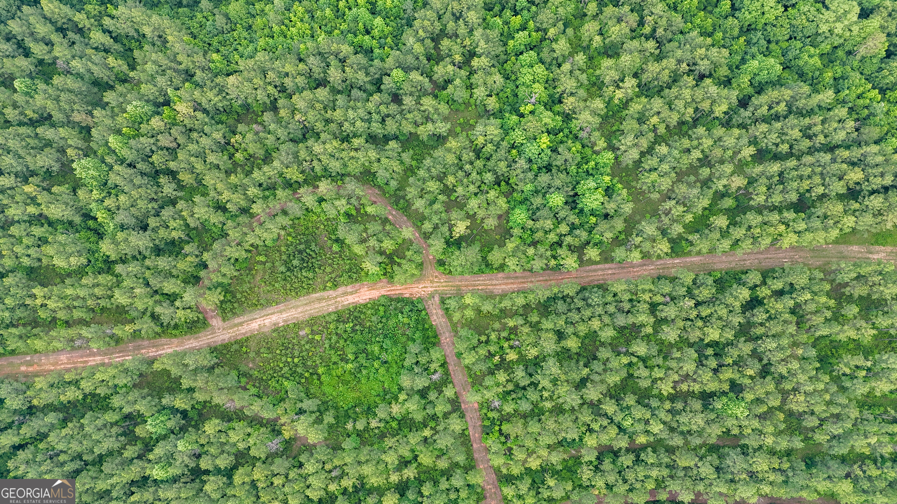 3644-3792 Fortune Hole Road Hamilton, GA 31811 - Photo 24 of 41 a view of a yard with a plant