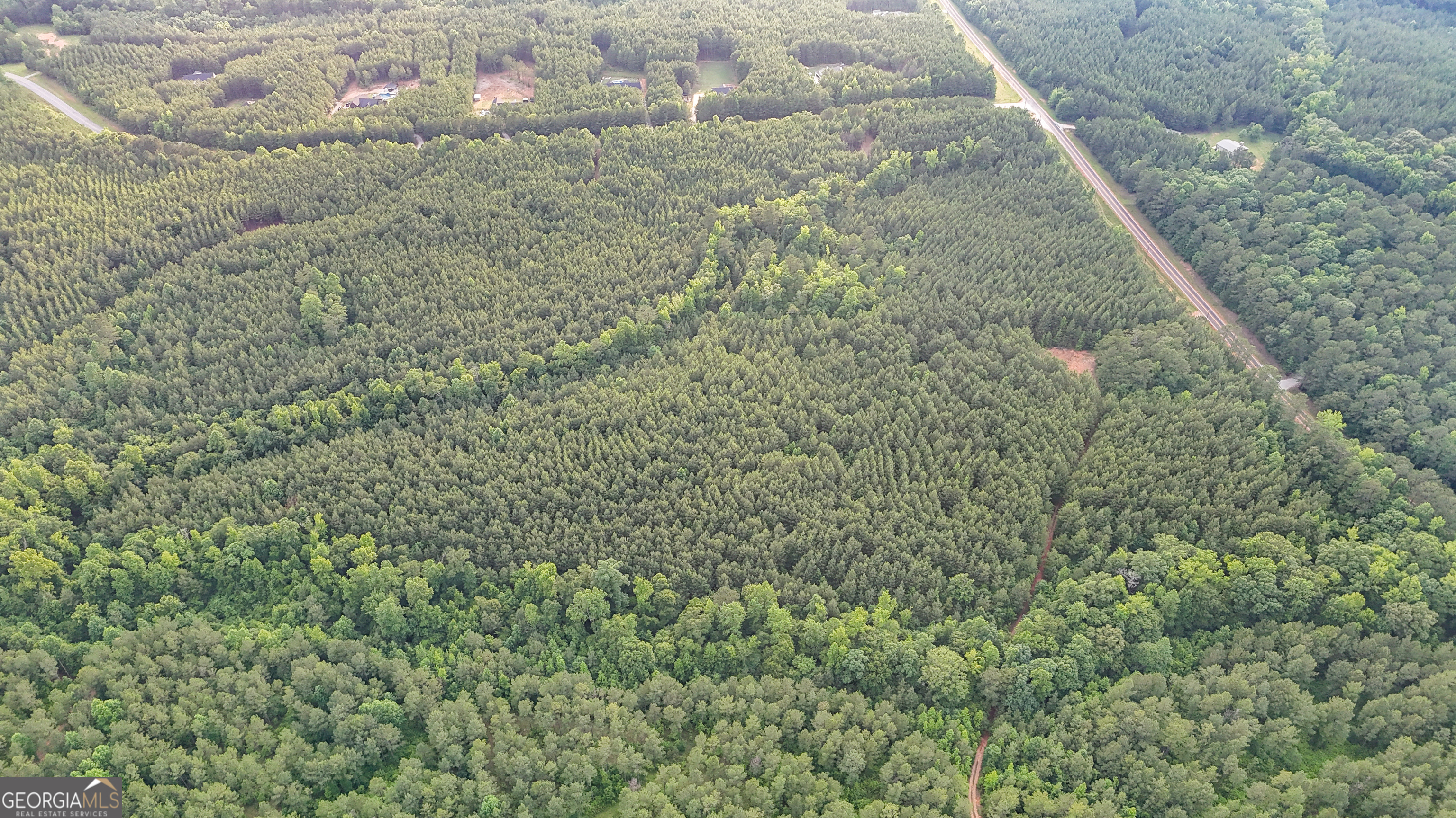 3644-3792 Fortune Hole Road Hamilton, GA 31811 - Photo 26 of 41 a view of a dry yard with green space