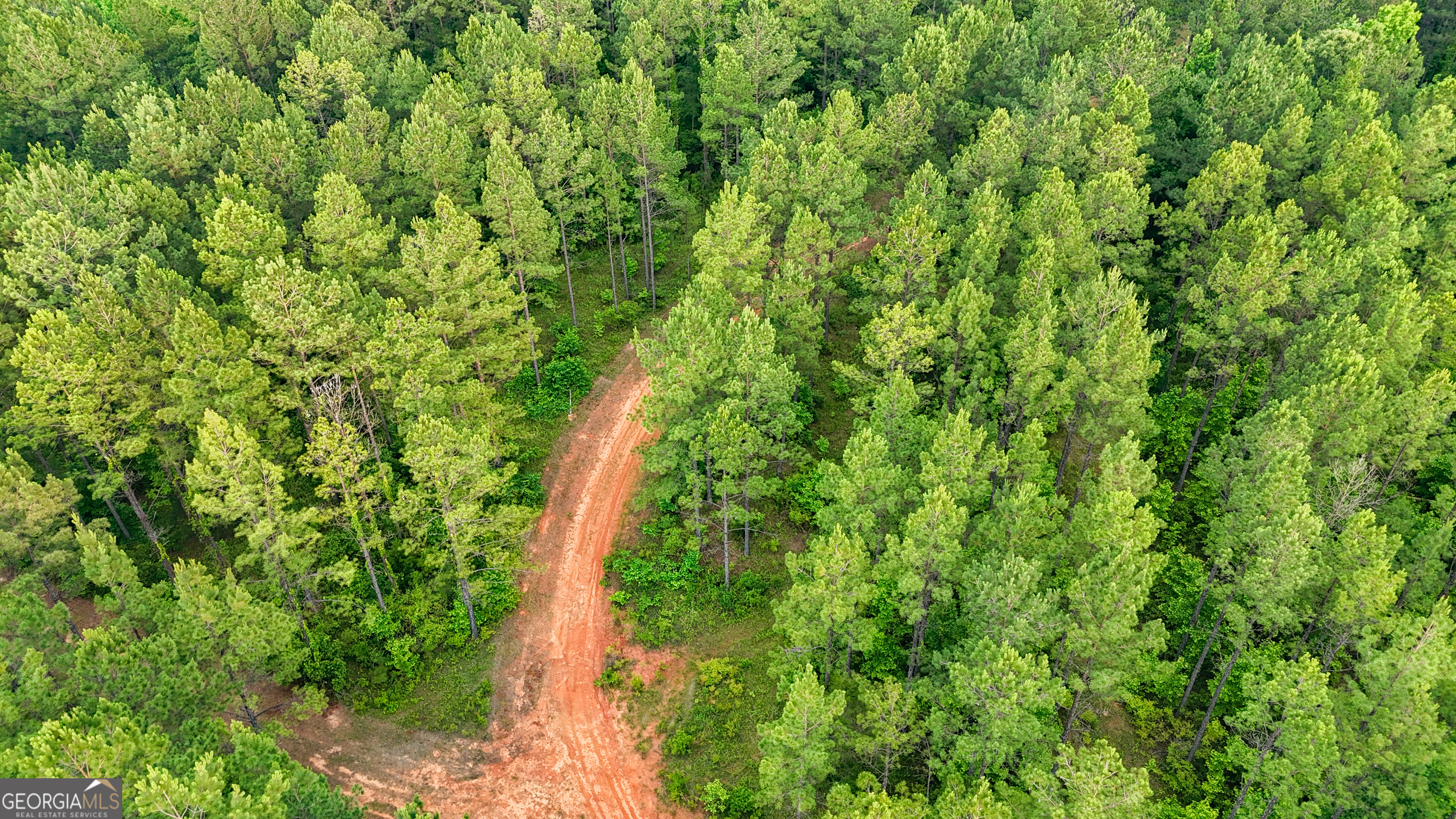 3644-3792 Fortune Hole Road Hamilton, GA 31811 - Photo 29 of 41 a map view of a lush green space