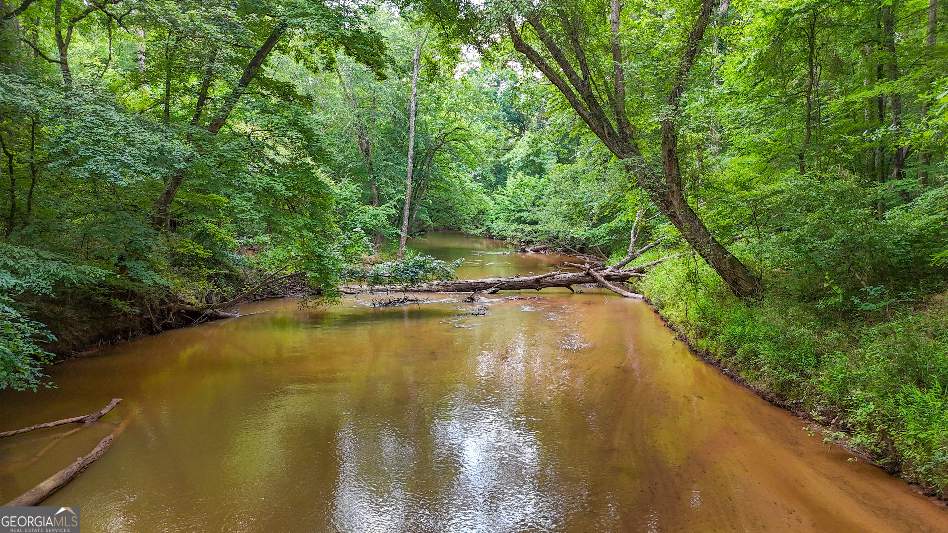 3644-3792 Fortune Hole Road Hamilton, GA 31811 - Photo 3 of 41 a view of a lake from a yard