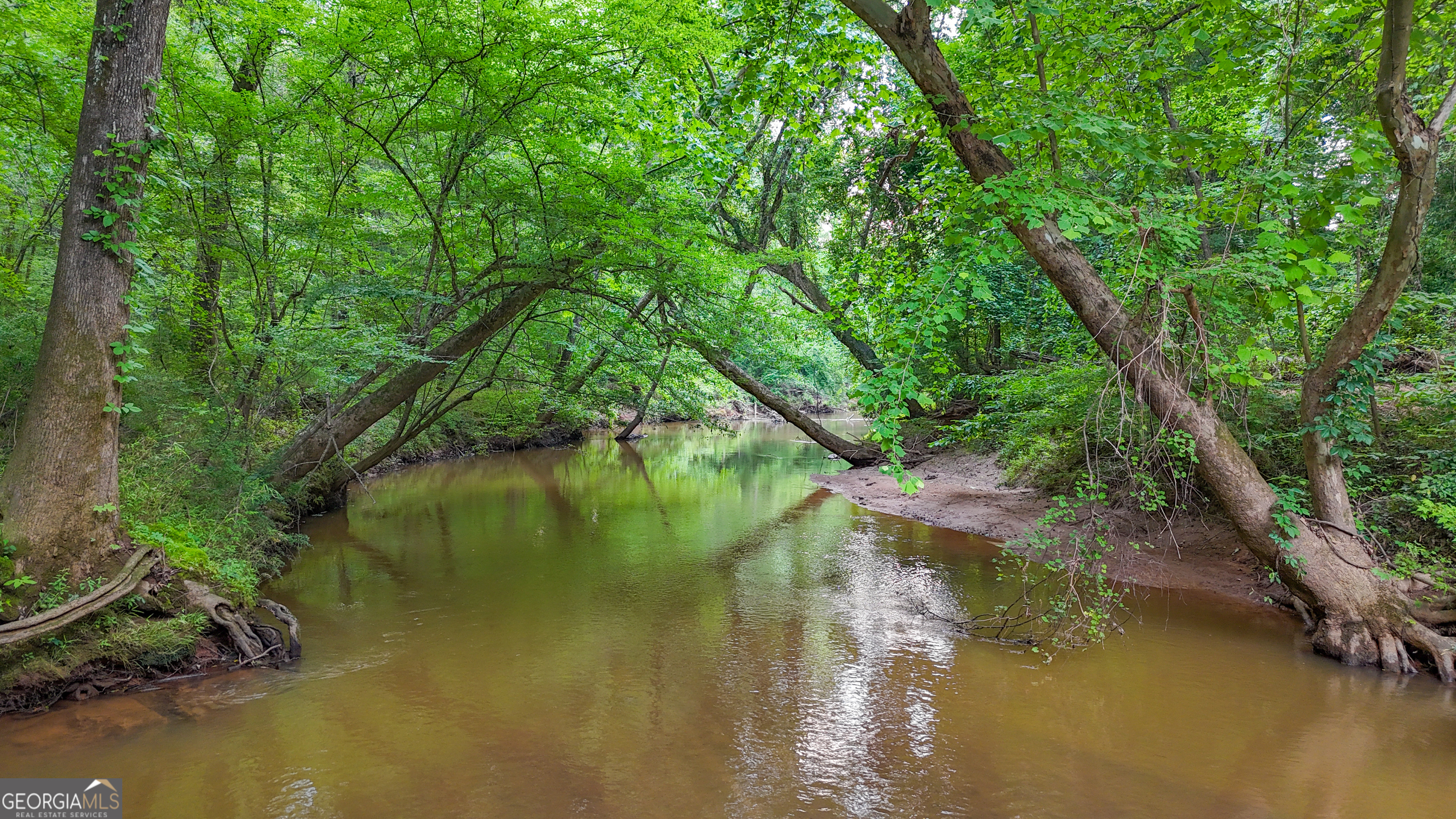 3644-3792 Fortune Hole Road Hamilton, GA 31811 - Photo 34 of 41