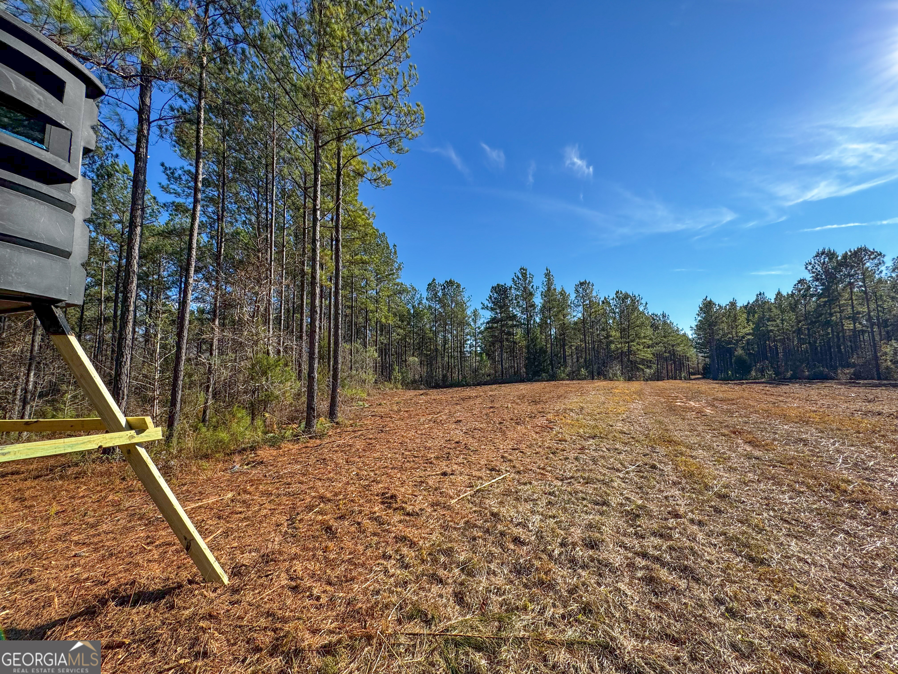 3644-3792 Fortune Hole Road Hamilton, GA 31811 - Photo 9 of 41