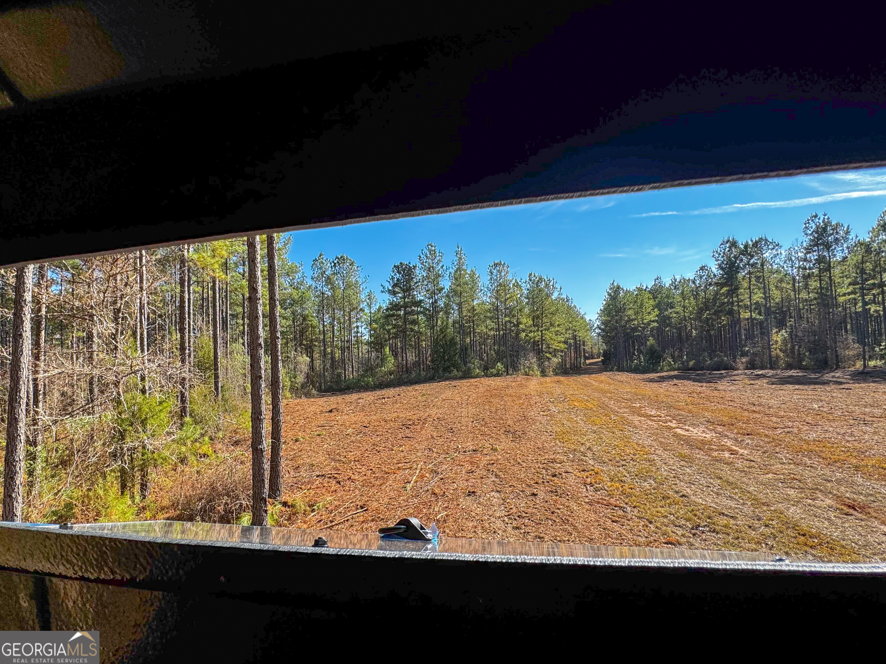 3644-3792 Fortune Hole Road Hamilton, GA 31811 - Photo 10 of 41 a view of a yard