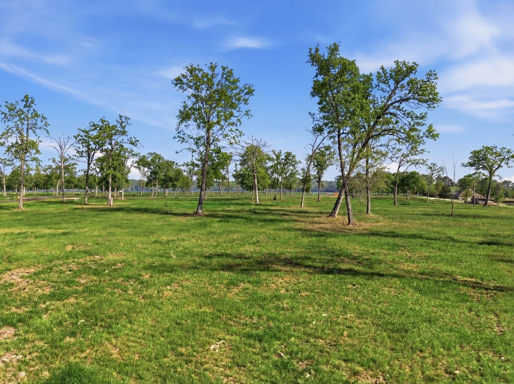 Lot 10 Island View Road Livingston, TX 77351 - Photo 10 of 18