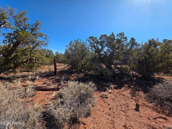 $15,000 | 2937 South Fair Oaks, Williams, AZ 86046