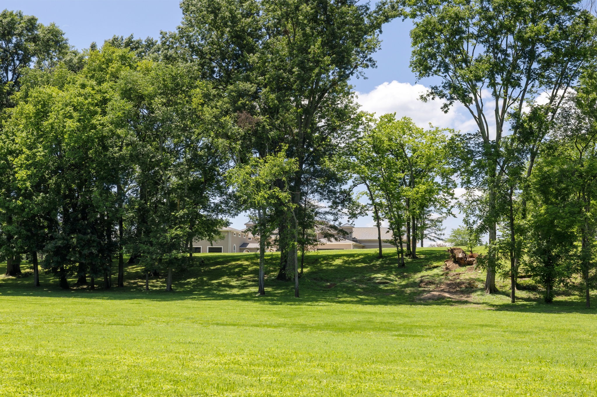 4212 Two Rivers Lane Franklin, TN 37069 - Photo 69 of 76
