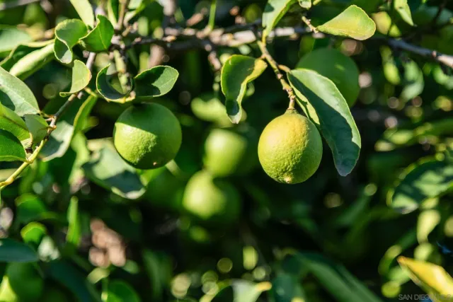 $760,000 | 222 Gull Place, El Cajon, CA 92019