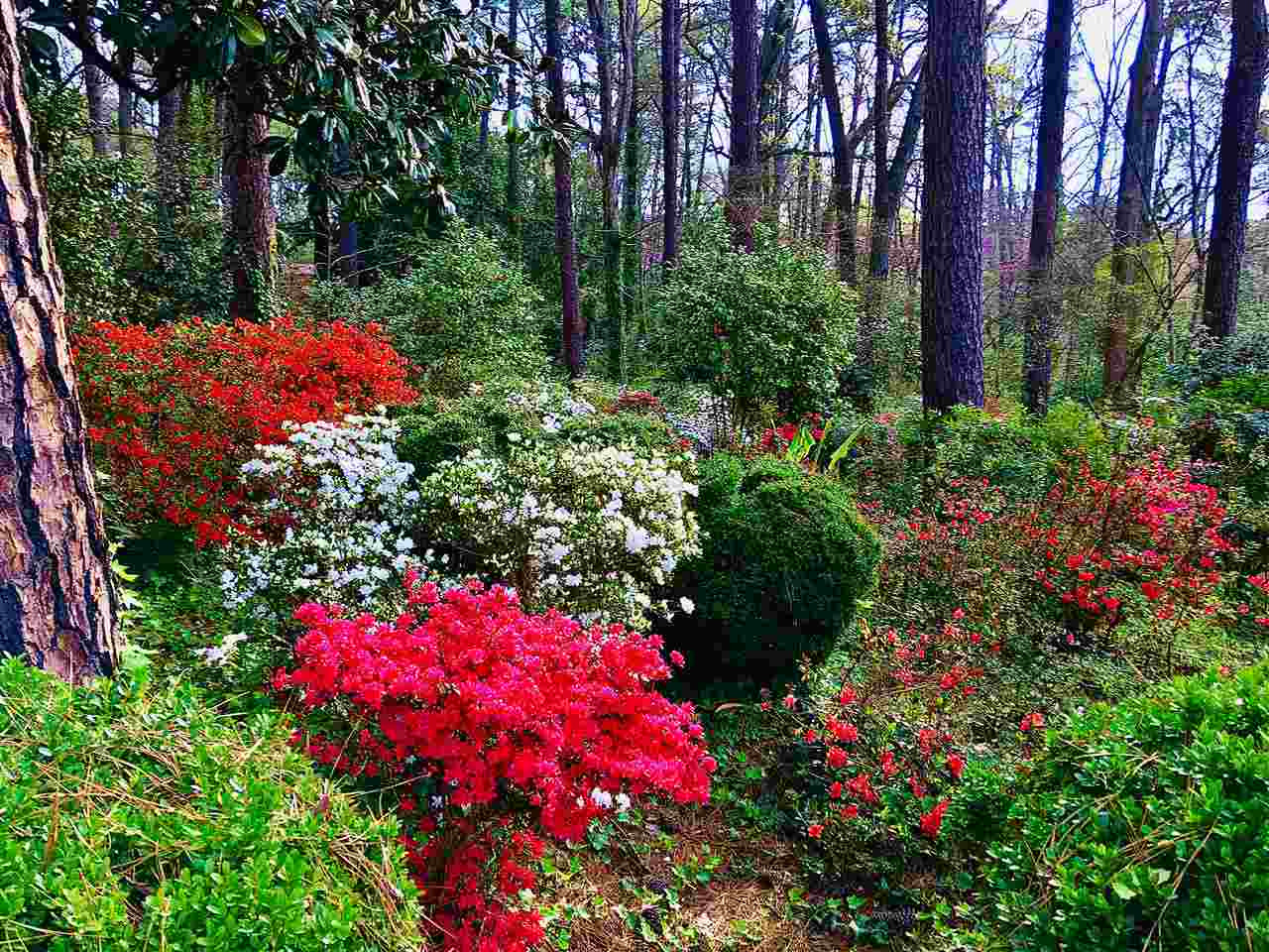 3019 Hope Valley Road Durham, NC 27707 - Photo 30 of 30 Photo 30