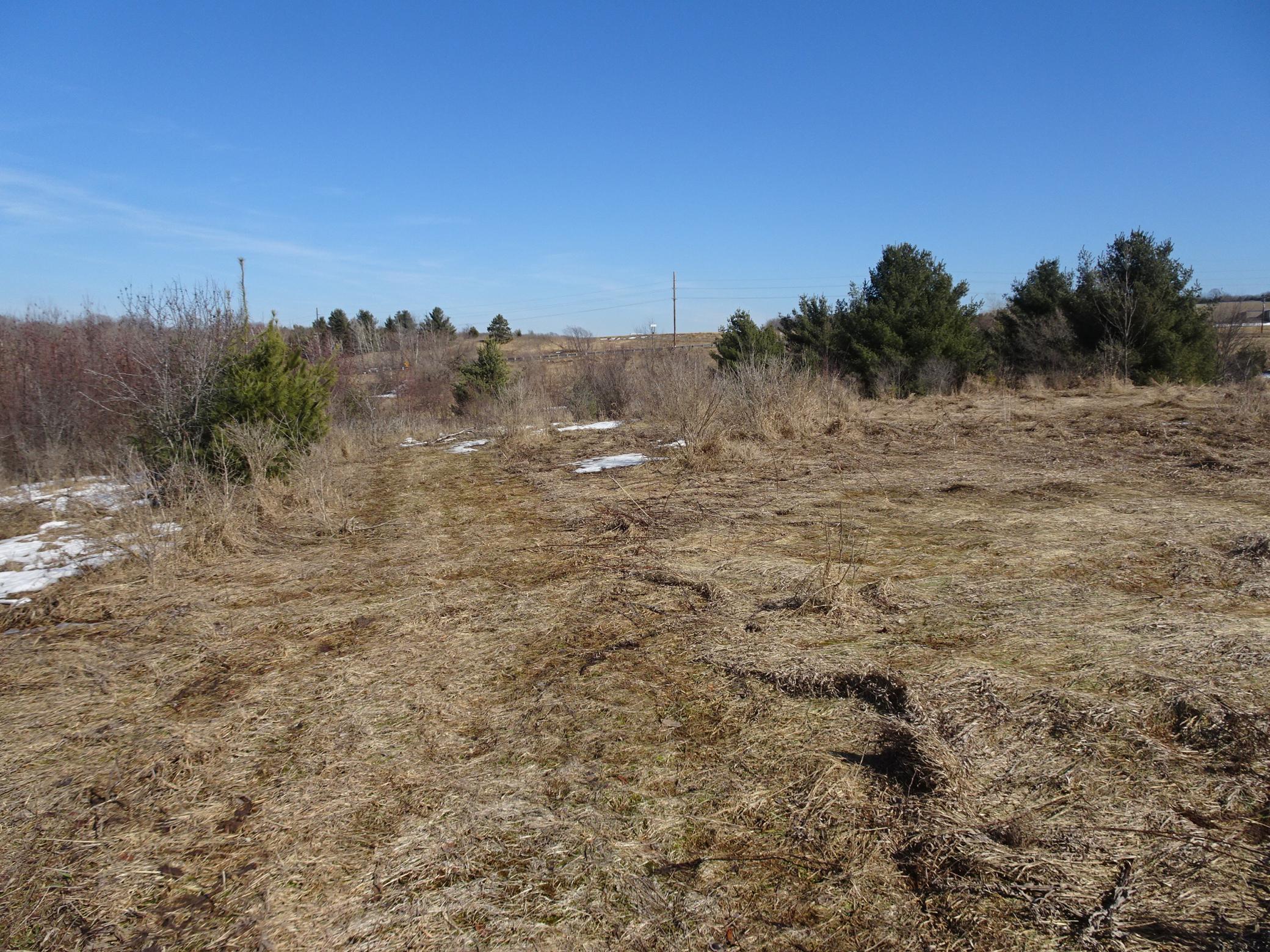 35 Frederic Wi 54837 Frederic, WI 54837 - Photo 11 of 11