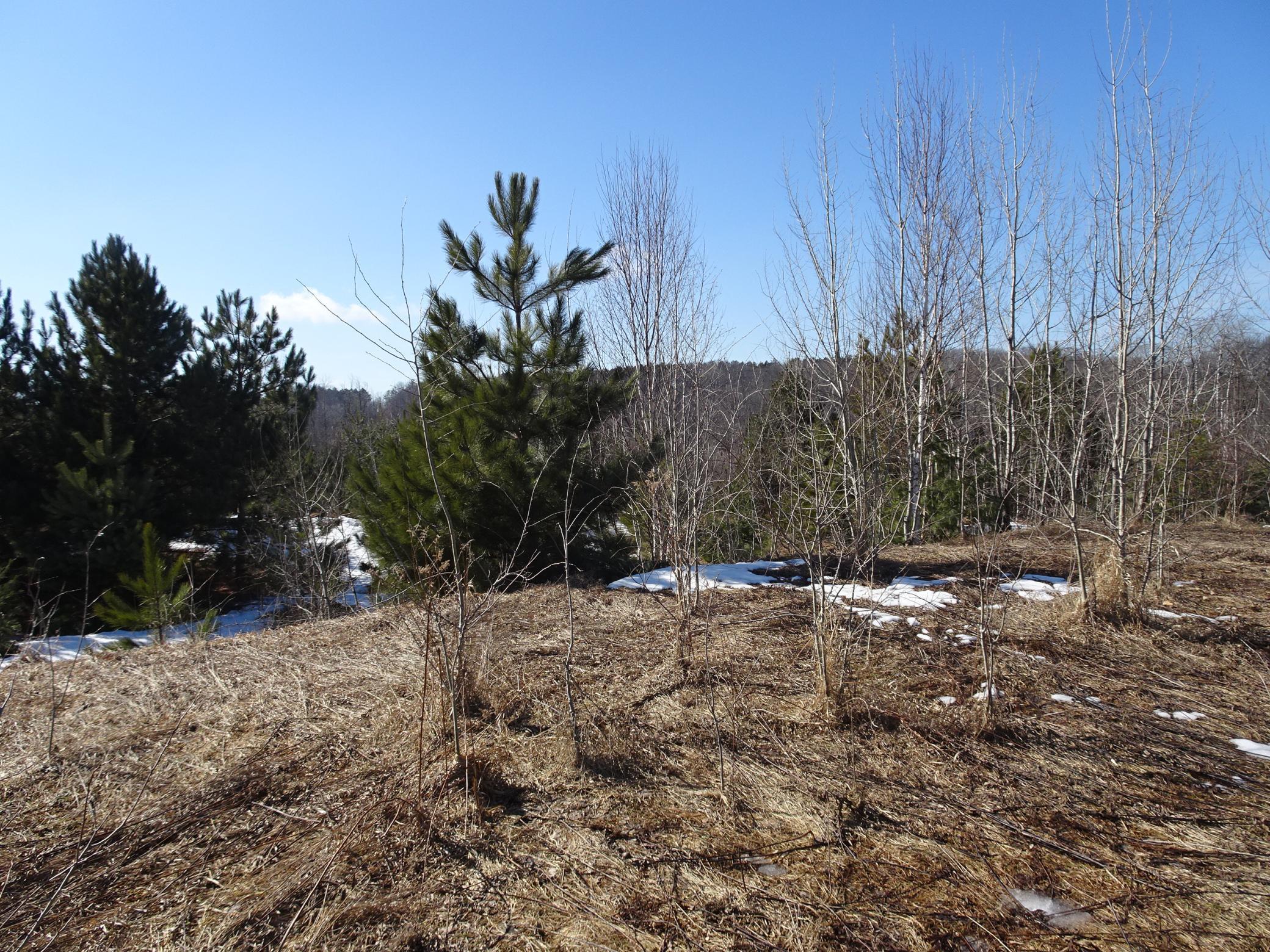 35 Frederic Wi 54837 Frederic, WI 54837 - Photo 6 of 11