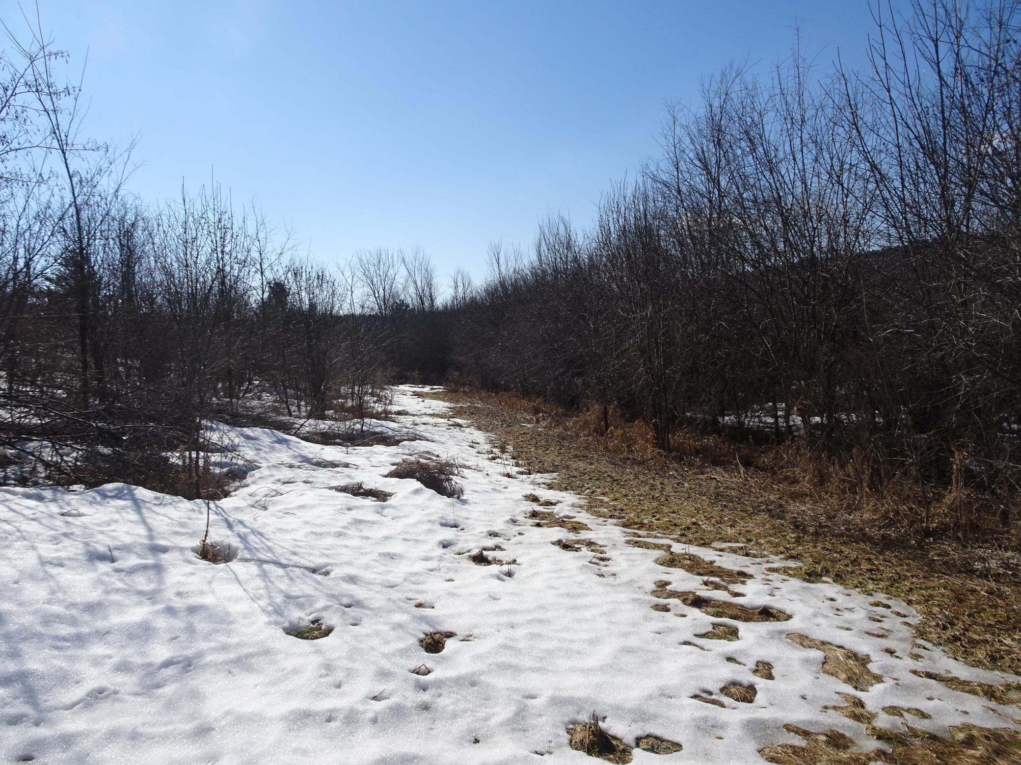 35 Frederic Wi 54837 Frederic, WI 54837 - Photo 8 of 11