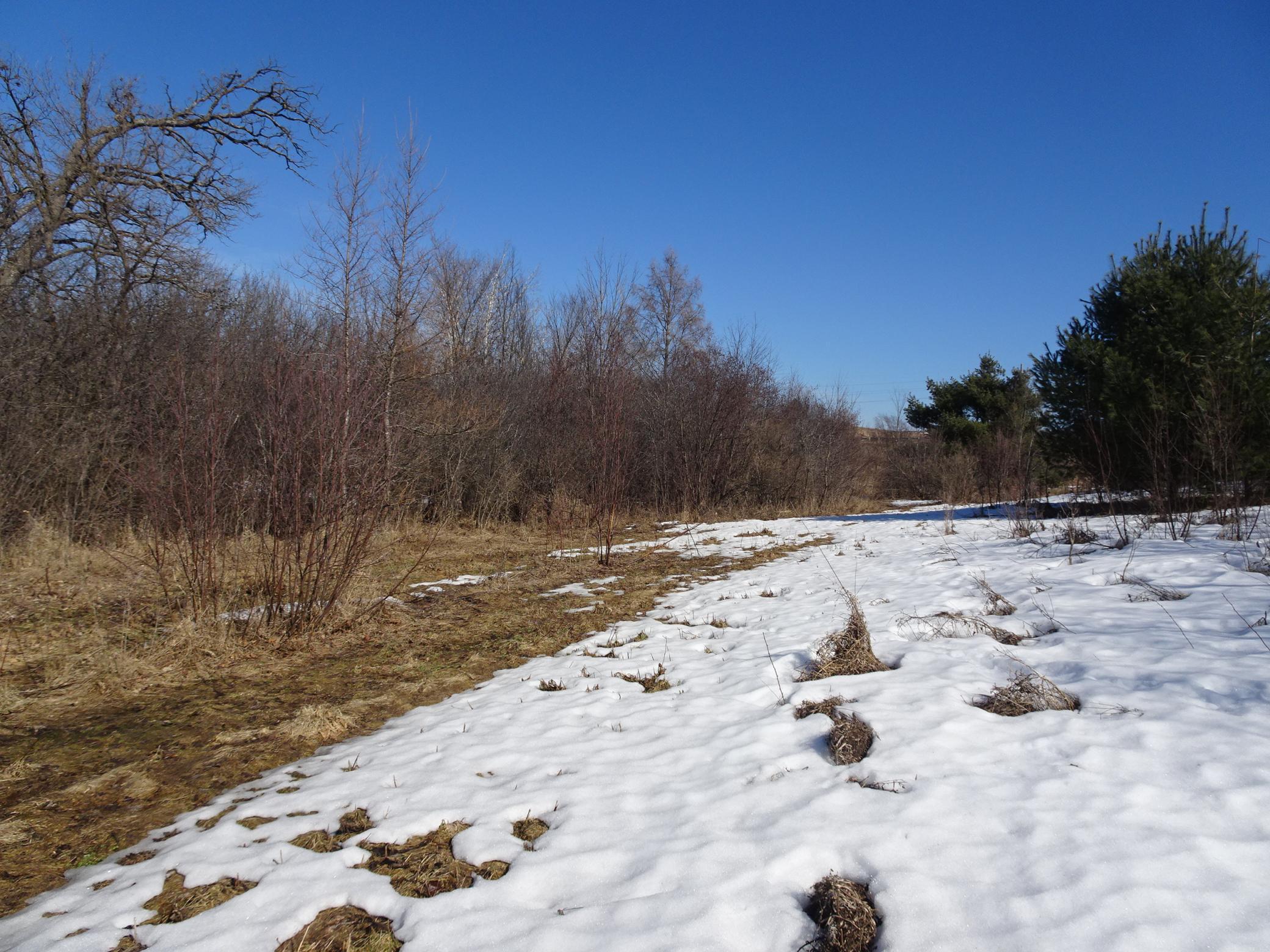 35 Frederic Wi 54837 Frederic, WI 54837 - Photo 9 of 11