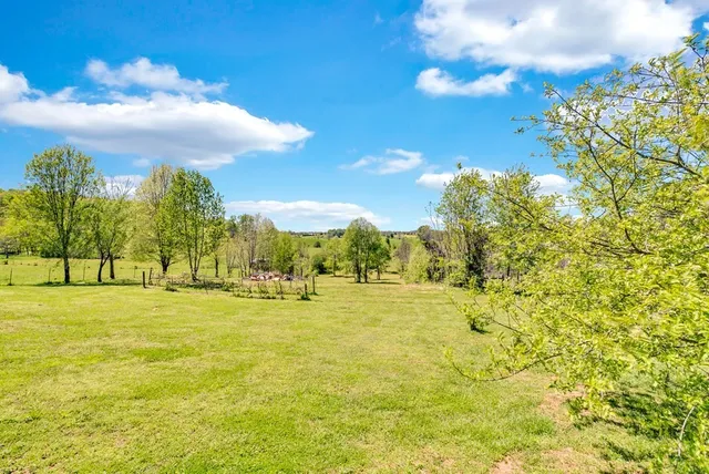 a view of a yard with an trees