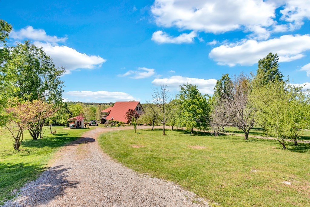 355 Dillon Gribble Road Sparta, TN 38583 - Photo 5 of 45 a view of a park with large trees