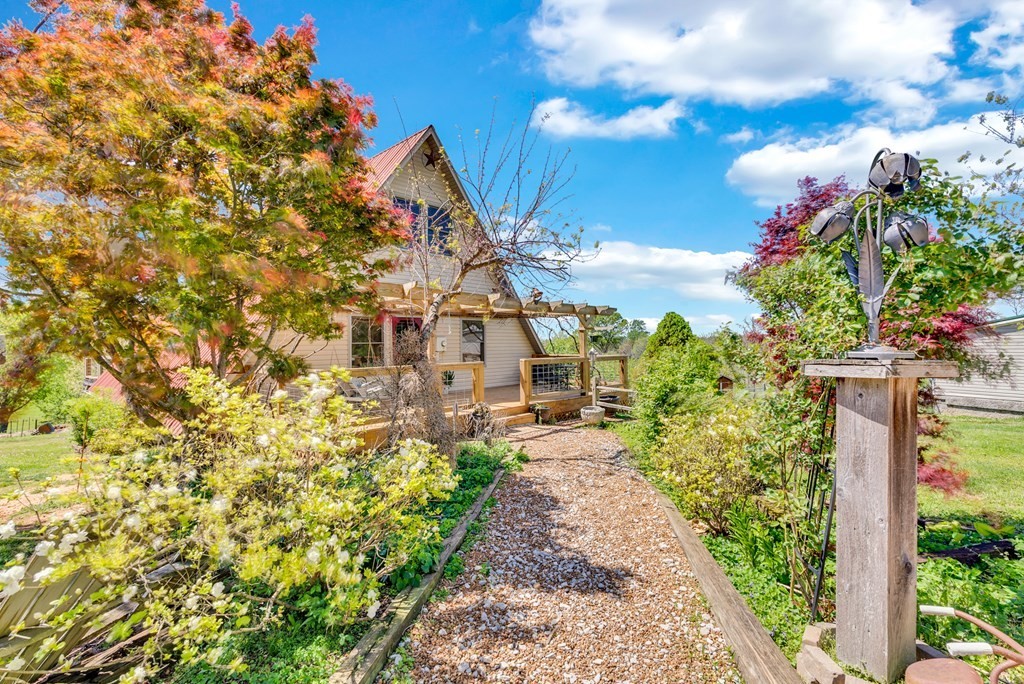 355 Dillon Gribble Road Sparta, TN 38583 - Photo 8 of 45 a view of a back yard