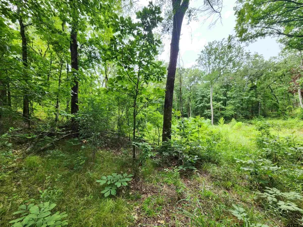 a view of outdoor space and green space