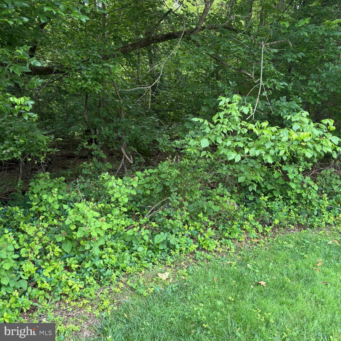0 Arcola Road Collegeville, PA 19426 - Photo 4 of 8 Gallery Image 4