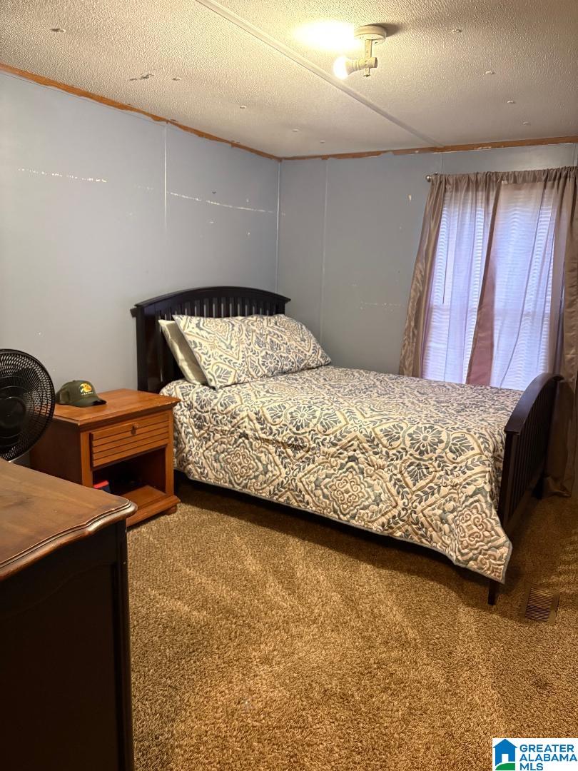375 Fire Tower Road Cordova, AL 35550 - Photo 13 of 22