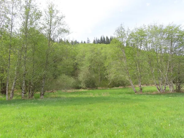 $154,900 | Hagen Road, Mossyrock, WA 98564