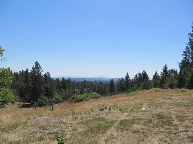 1802 West Stearns Road Spokane, WA 99208 - Photo 5 of 11