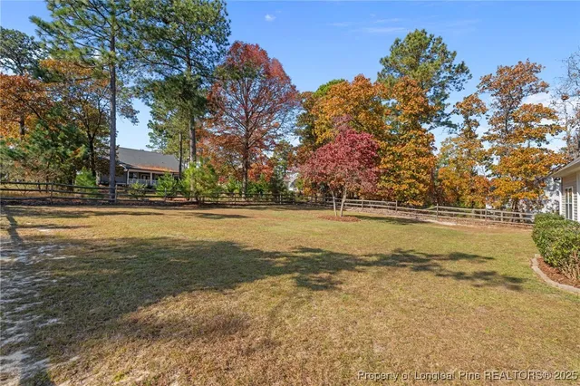 a view of an ocean with trees