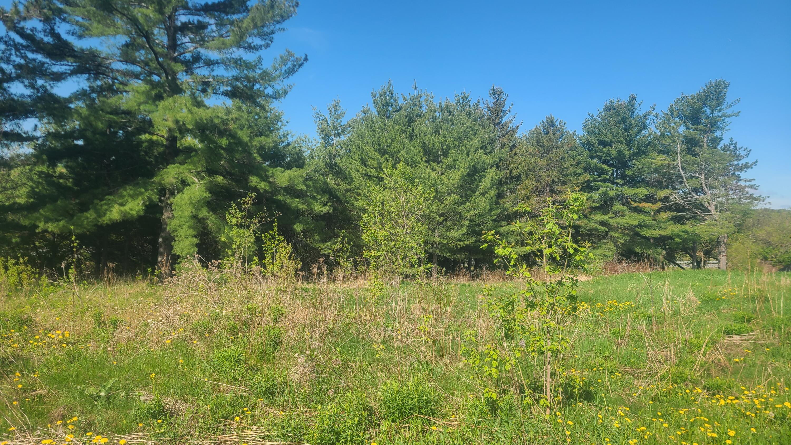 58 Pondview Street Limestone, ME 04750 - Photo 3 of 5 20260526_090827