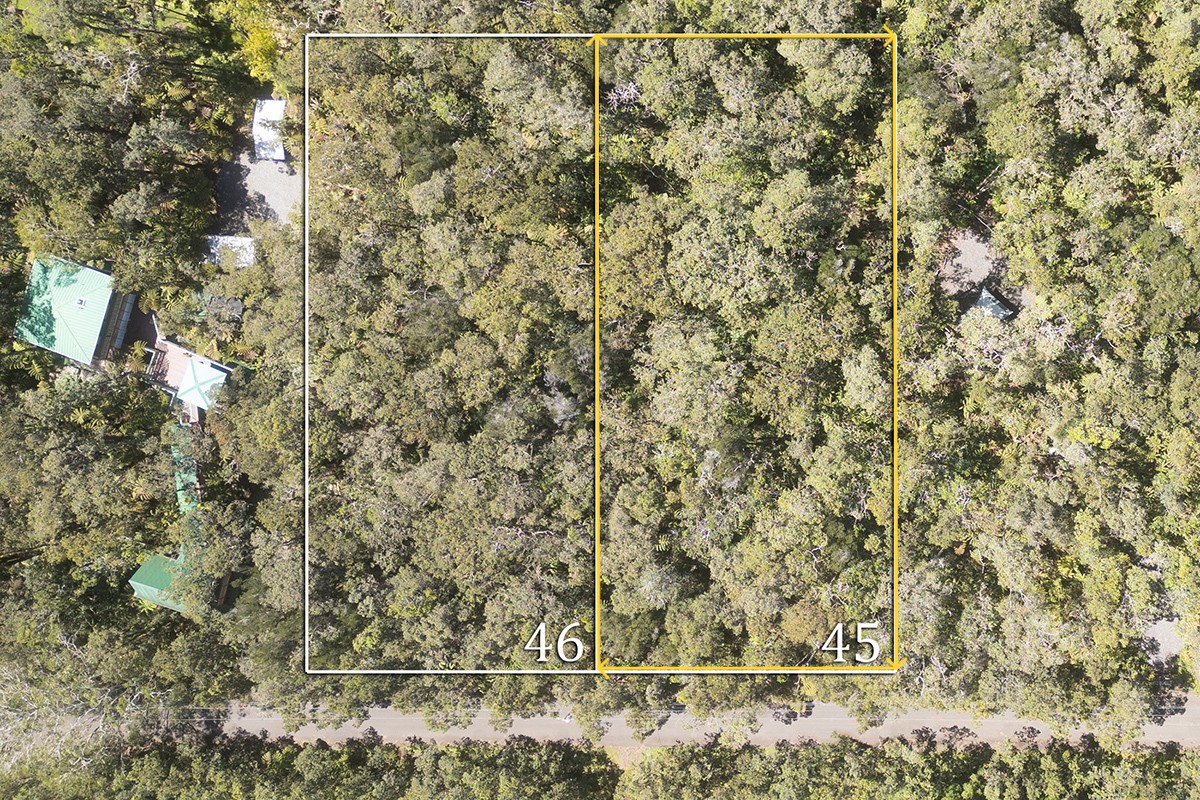 a view of a dry yard