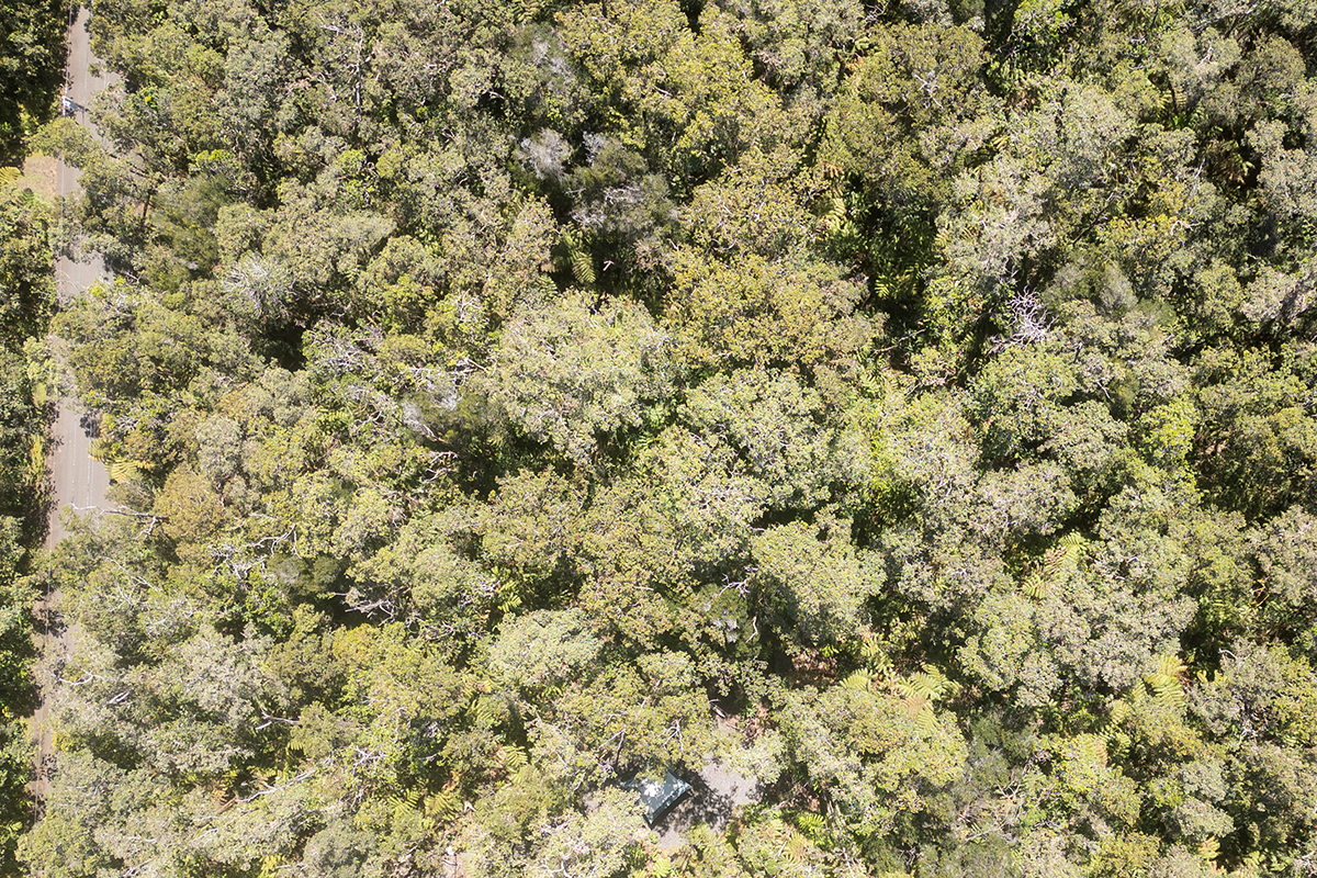 950 11th Street Volcano, HI 96785 - Photo 4 of 7 a view of a covered with green field