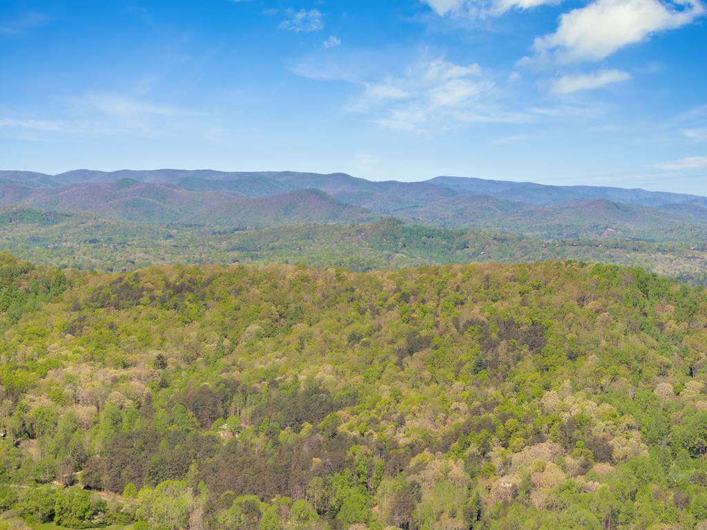 539 Deer Crest Overlook Blue Ridge, GA 30513 - Photo 9 of 51 Gallery Image 9