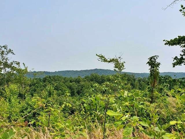 169 County Road 188 Decatur, TN 37322 - Photo 16 of 24