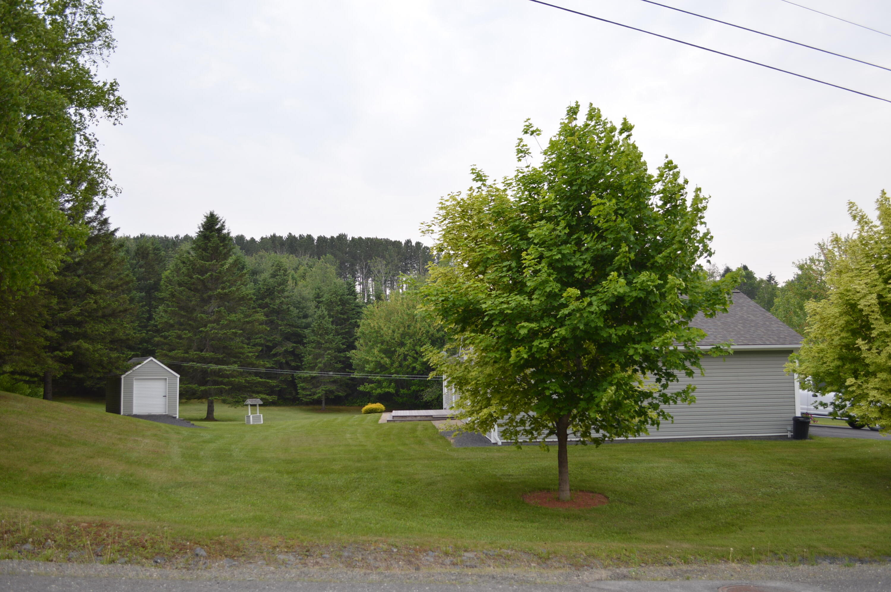 25 Pine Street Fort Kent, ME 04743 - Photo 7 of 32 Back yard with shed