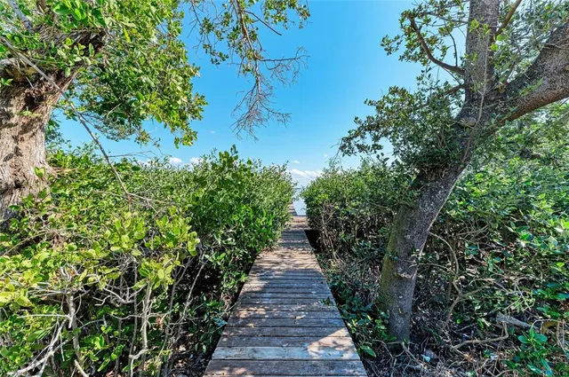 a view of a pathway with plants