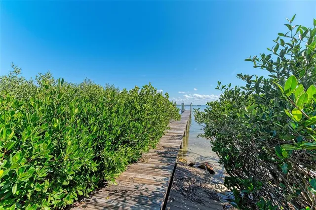 a view of a pathway in a garden