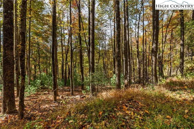 a view of outdoor space with lots of trees
