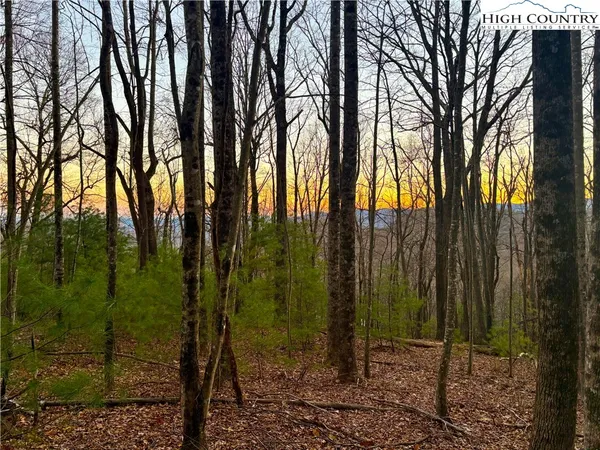 $69,900 | Tbd - Lot 24 Tbd - Road, Deep Gap, NC 28618