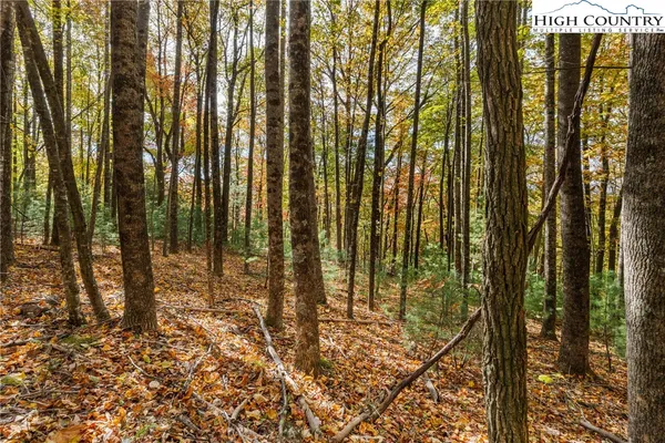 $69,900 | Tbd - Lot 24 Tbd - Road, Deep Gap, NC 28618